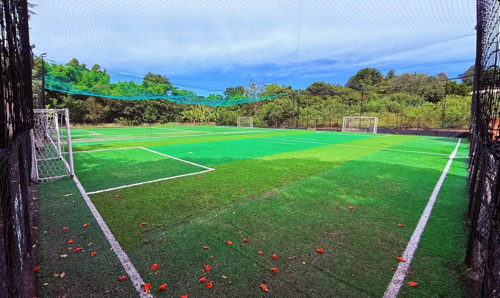 Campo society com gramado profissional